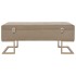 Banco con compartimento 105 cm beige de