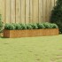 Jardinera acero corten 280x80x40