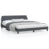 Estructura cama con cabecero terciopelo gris oscuro 180x200