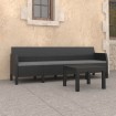 Set de muebles jardín 2 piezas cojines PP ratán gris antracita