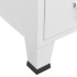 Armario industrial acero blanco 67x35x107