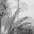 Komar Mural fotográfico Lac Tropical Black & White 200x270