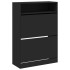 Mueble zapatero con 2 cajones abatibles negro 80x34x116