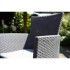 Allibert Silla de comedor de jardín 2 uds Iowa gris