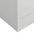 Armario de acero gris claro 80x50x180