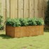 Jardinera acero corten 120x80x40