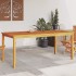 Mesa de comedor de jardín madera maciza de acacia 180x90x75