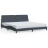 Estructura cama con luces LED terciopelo gris oscuro 200x200