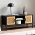 Mueble TV Madera Negro / Roble 110x48x40 cm 